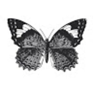 Meet your Posher, Astrid